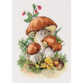Borduurpakket Porcini Mushrooms - PANNA