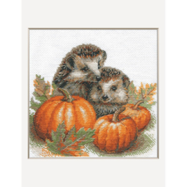 A1021 - Borduurpakket Hedgehogs in the Harvest - Aine