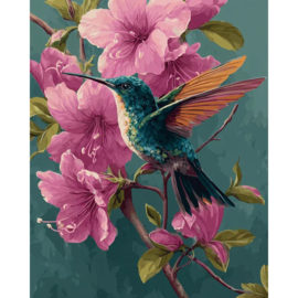 VA912 - DP - Canvas op houten frame - Kolibri - 30 x 40 cm