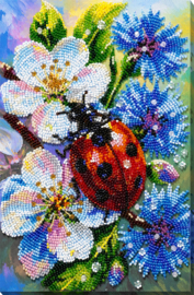 984 - KRALEN BORDUURPAKKET - Among Cornflowers - Op de Korenbloemen