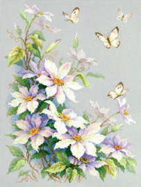 BUTTERFLY: CLEMATIS