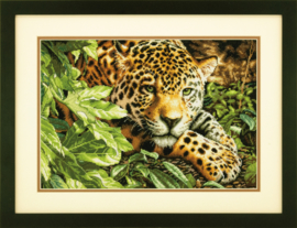 LEOPARD IN REPOSE - Dimensions (GOLD collection)