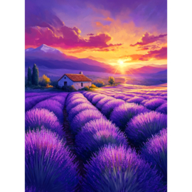 VA846 - DP - Canvas op houten frame - Lavendel Veld - 30 x 40 cm