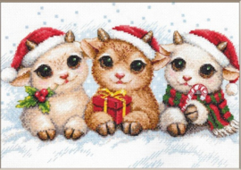 A1050 - Borduurpakket Christmas Joy - Aine