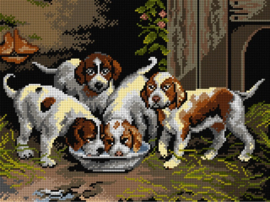 3521 - Puppies drinking Water - ORCHIDEA 30 x 40 (STRAMIEN)