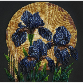 AMB126 KRALEN BORDUURPAKKET  Dancing in Golden Light - Dansend in het Gouden Licht