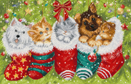 Borduurpakket LETI 9940 - Dogs and Cats in Stocking - Honden en Katten in Sok