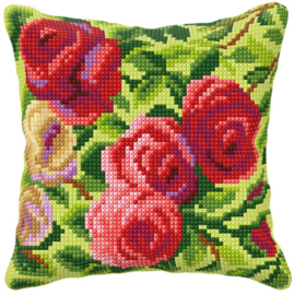 99084 KRUISSTEEK KUSSEN ORCHIDEA - Rozen