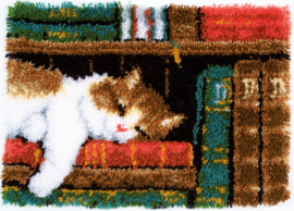 KNOOPKLEED VERVACO -  SLAPENDE POES IN BOEKEN - 53 x 39 cm