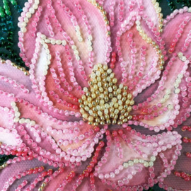 AM267 KRALEN BORDUURPAKKET Petal Kiss - Bloemblaadjes Kus