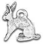 Rabbit Charm