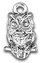 Owl Charm