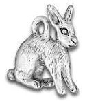 Rabbit Charm