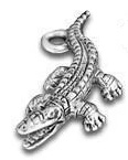 Crocodile Charm