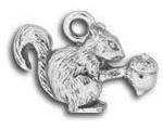 Squirrel Charm