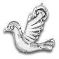 Pigeon Charm