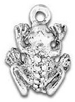 Frog Charm