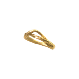 Gouden ring "takje"