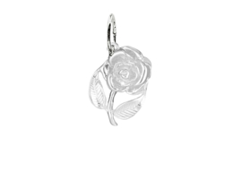 zilveren bloem roos