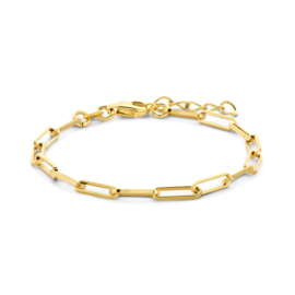 Gold plated Zilveren armband