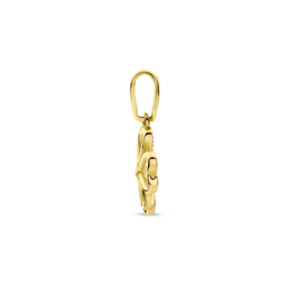 14 karaat gouden hanger klavertje 16 mm