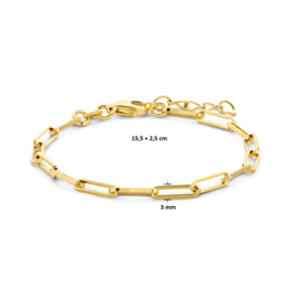 Gold plated Zilveren armband