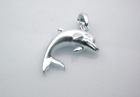zilveren Dolfijn