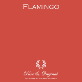 Flamingo - Pure & Original Licetto