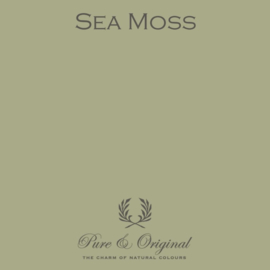 Sea Moss - Pure & Original Marrakech Walls