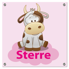 Spandoek Sterre