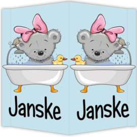 Raambord Janske