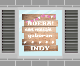 Raamsticker Indy