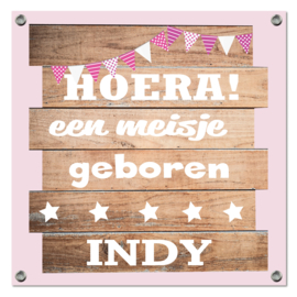 Spandoek Indy