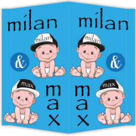 Raambord Max & Milan