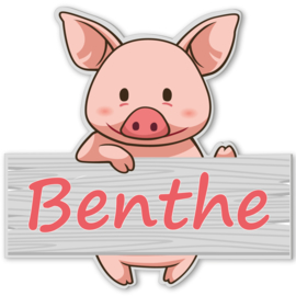 Geboortebord Benthe  -  varkentje kijkt over hekje