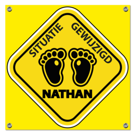 Spandoek Nathan