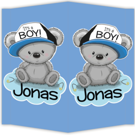 Raambord Jonas - geboortebord raam beertje pet