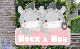 Geboortebord Noex & Noa - schattige zebra's met bloemen naambordje