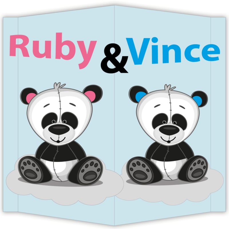 Raambord Ruby & Vince