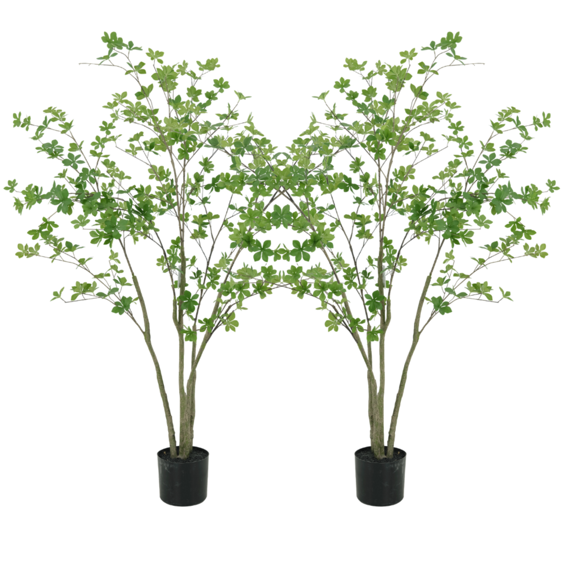 2 Stuks | Zijden Enkianthus kunstboom 150 cm - Silk House