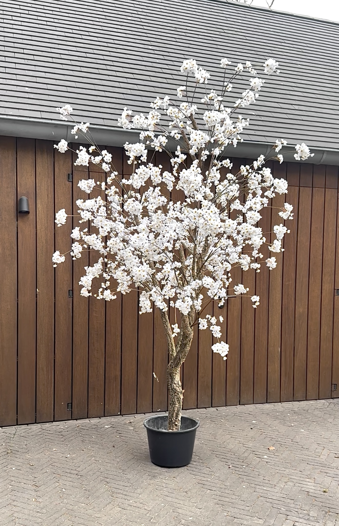 Zijden Bloesemboom creme 260 cm - Silk House