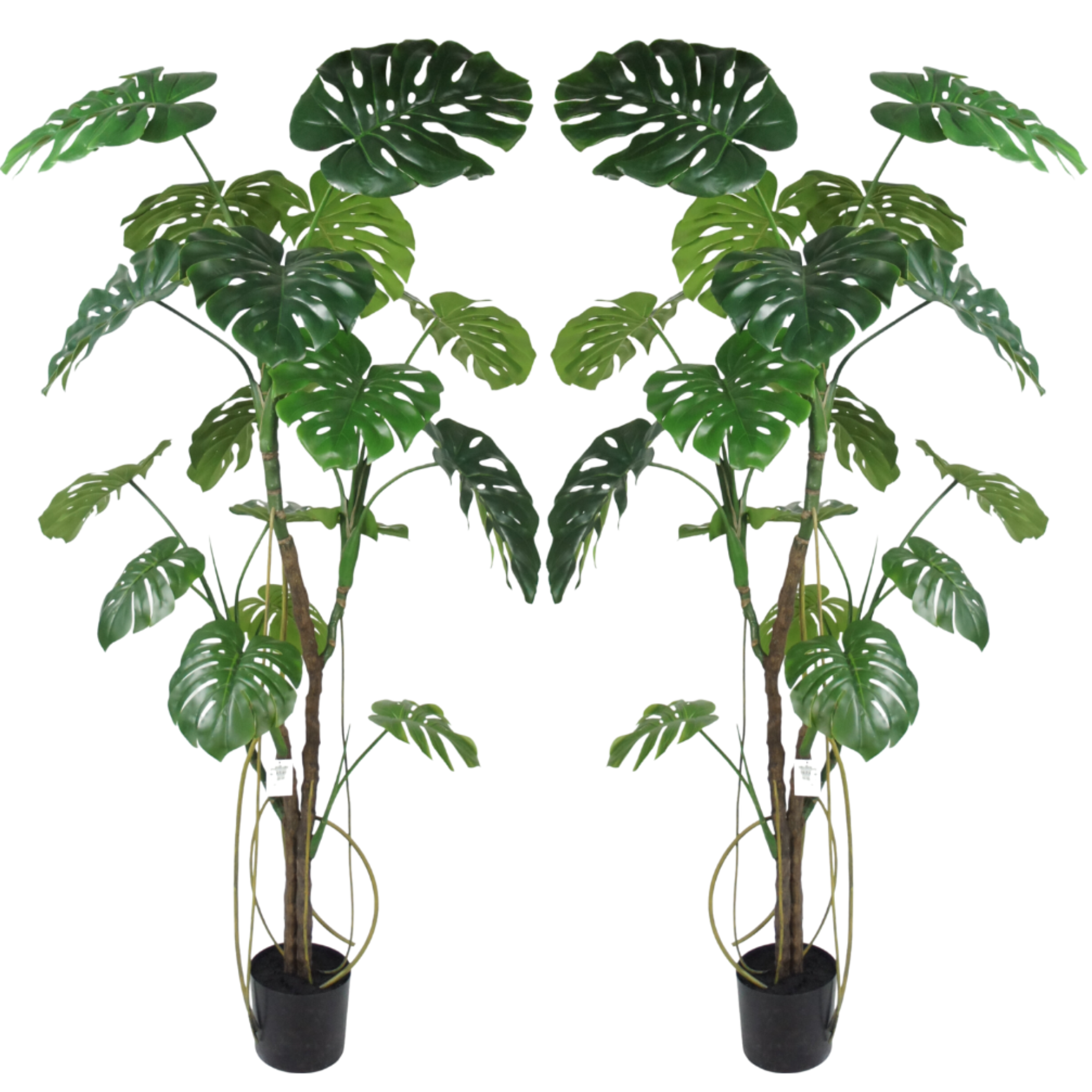2 Stuks | Zijden Monstera kunstboom 180 cm - Silk House