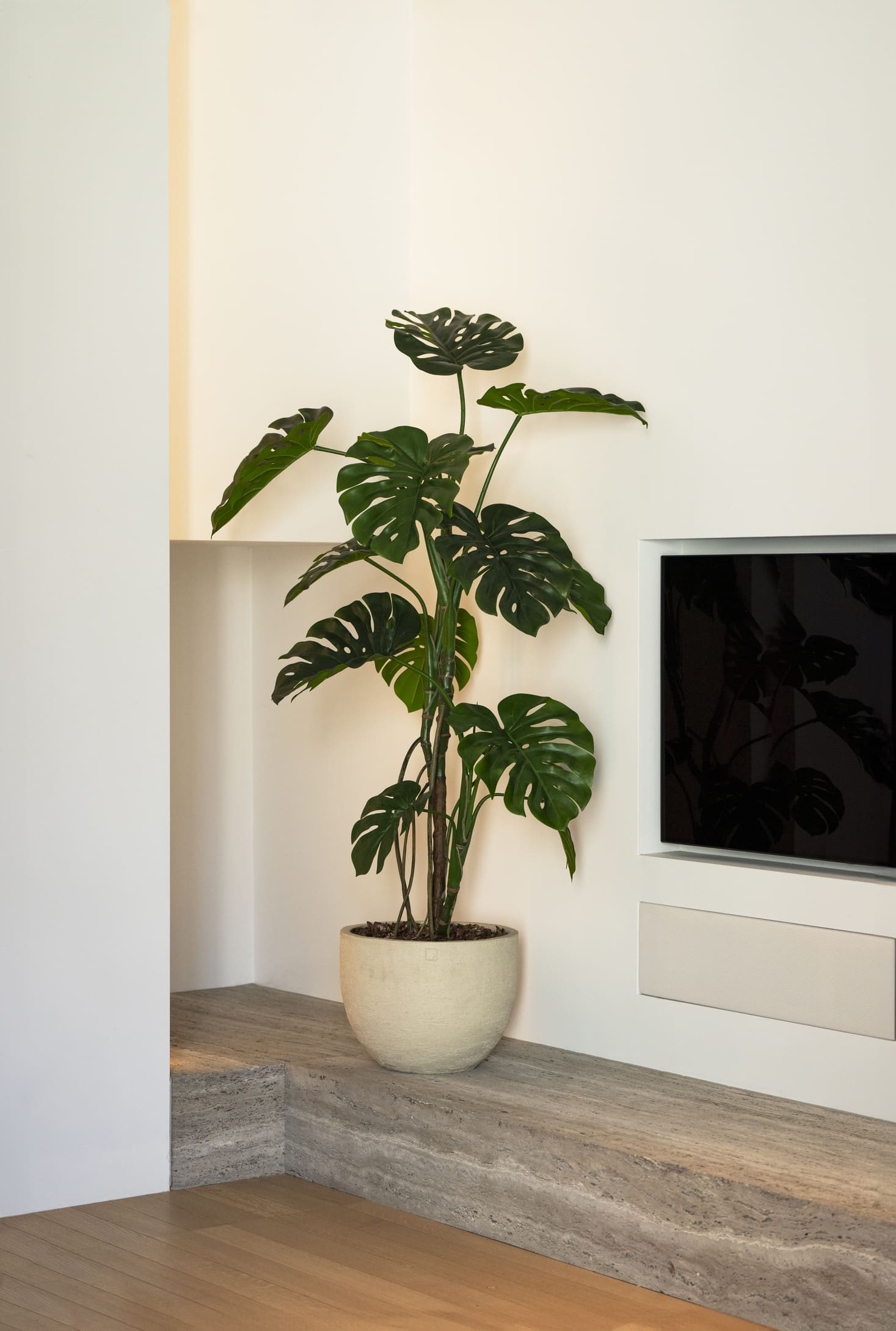 2 Stuks | Zijden Monstera kunstboom 150 cm - Silk House