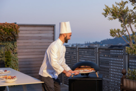 Le Feu Turtle Pizza oven