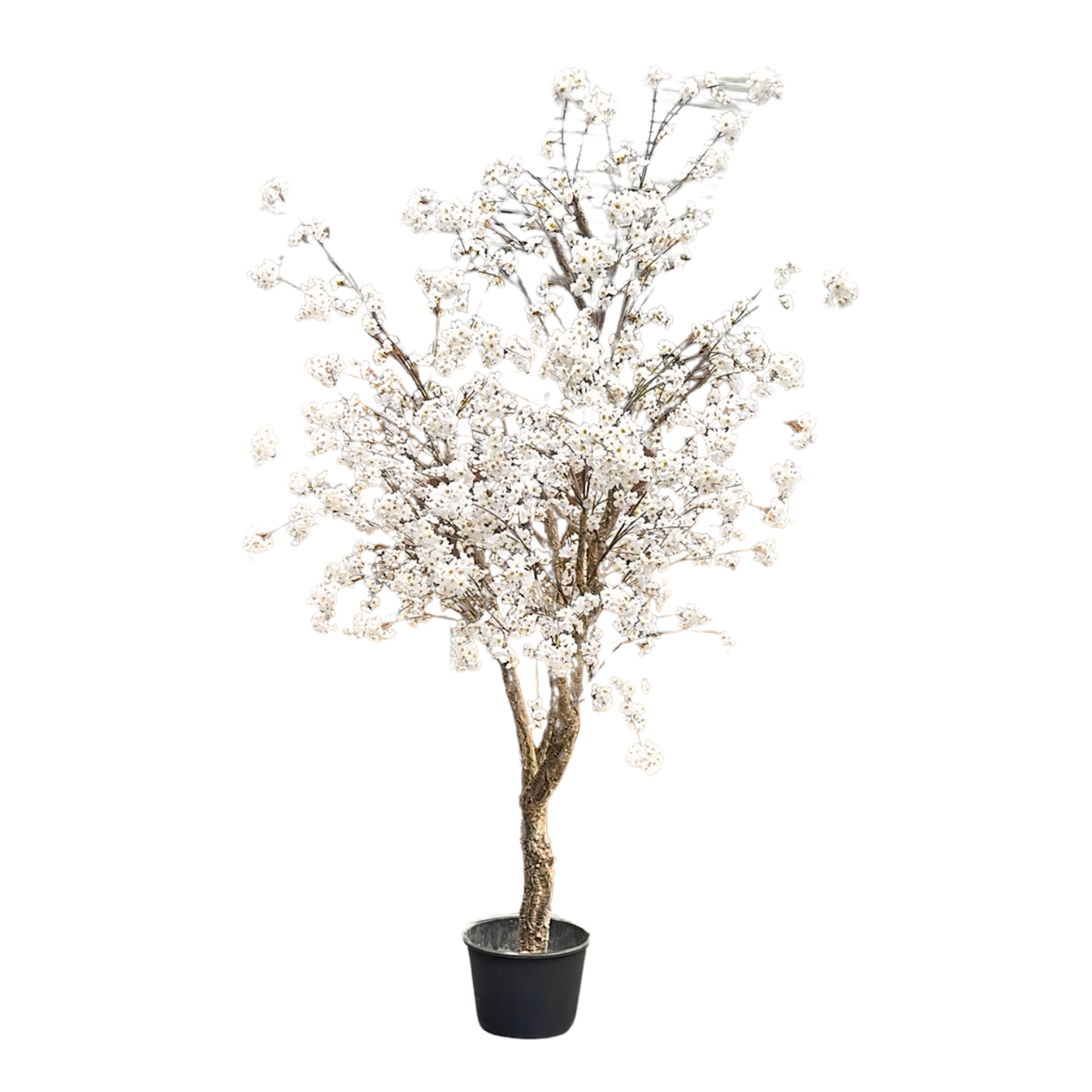 Zijden Bloesemboom creme 260 cm - Silk House
