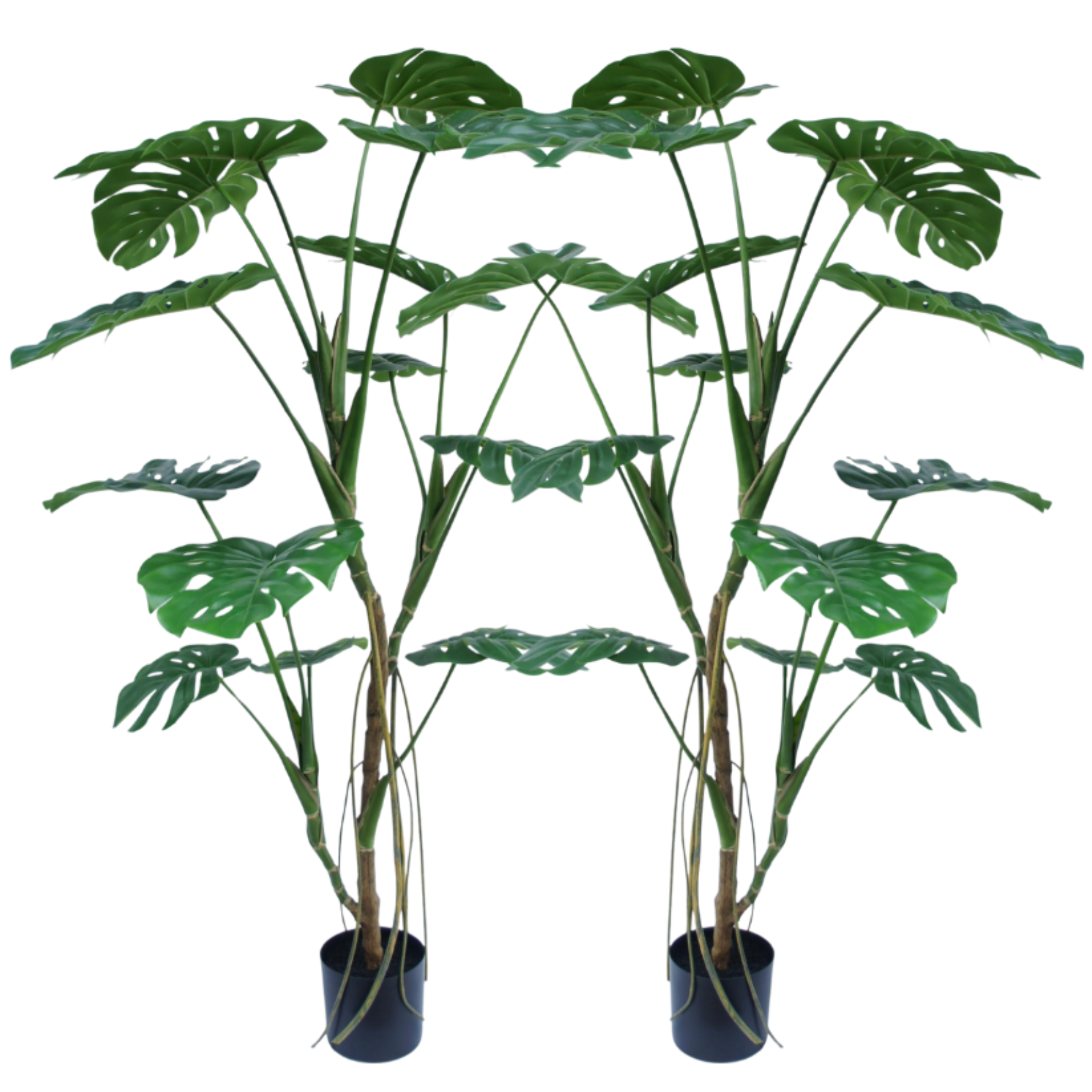 2 Stuks | Zijden Monstera kunstboom 150 cm - Silk House