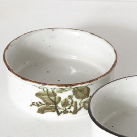 Schaal - vintage - Greenleaves - Midwinter Wedgwood - set van twee