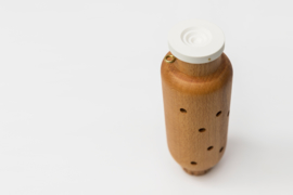 Ladybird Bottle
