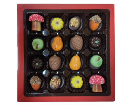 Bonbons geschenkdoos 16 vaks herfst