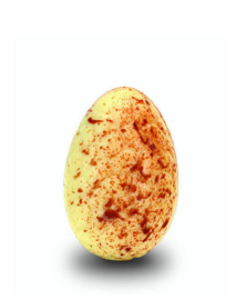 Zakje met praline eitjes